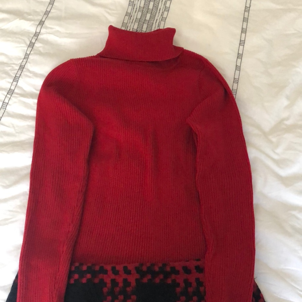 Red Boston Proper Ribbed Turtleneck sweater